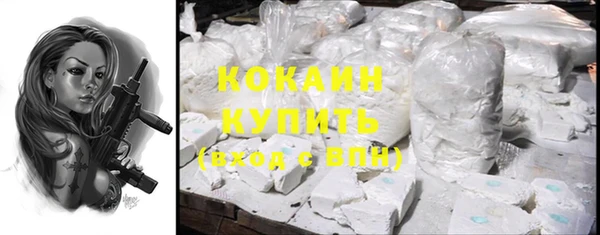 индика Балабаново